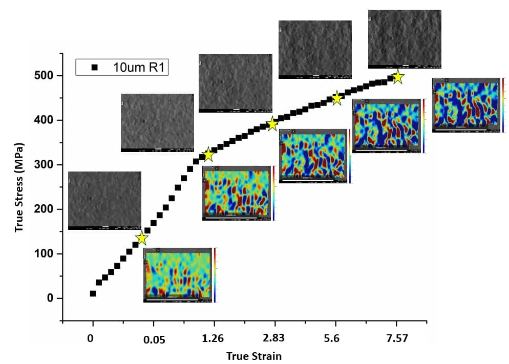 In-situ research analysis