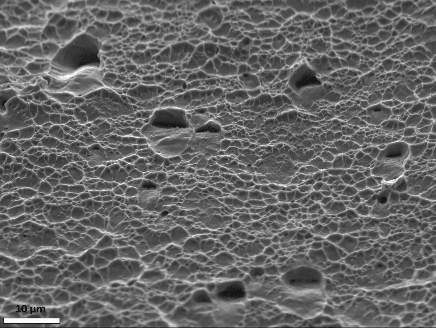 SEM microstructural analysis